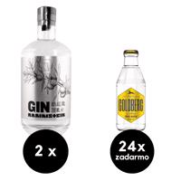 2 x Rammstein Gin + 24 x Goldberg Tonic zadarmo